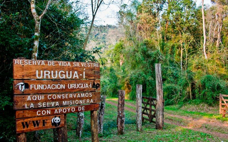 Fundación Vida Silvestre